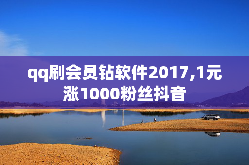 qq刷会员钻软件2017,1元涨1000粉丝抖音