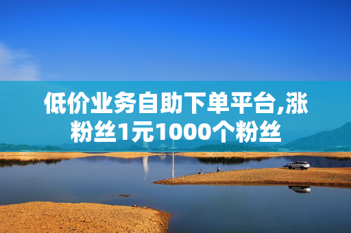 低价业务自助下单平台,涨粉丝1元1000个粉丝