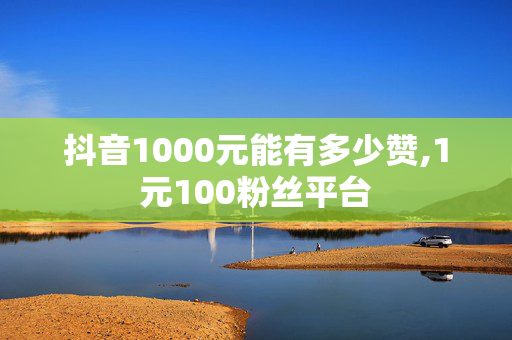 抖音1000元能有多少赞,1元100粉丝平台