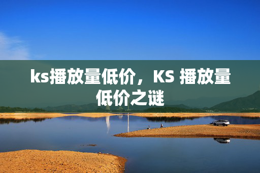 ks播放量低价，KS 播放量低价之谜