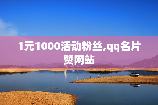 1元1000活动粉丝,qq名片赞网站