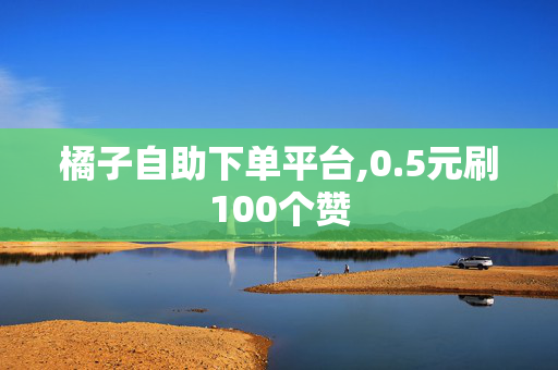 橘子自助下单平台,0.5元刷100个赞