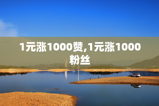 1元涨1000赞,1元涨1000粉丝