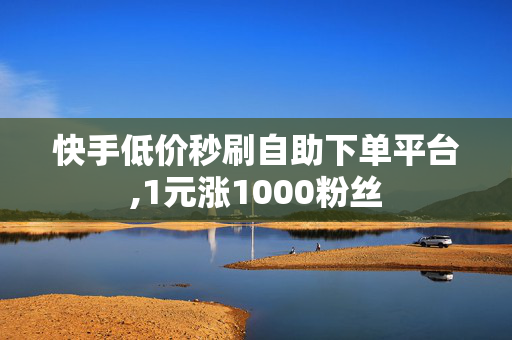 快手低价秒刷自助下单平台,1元涨1000粉丝