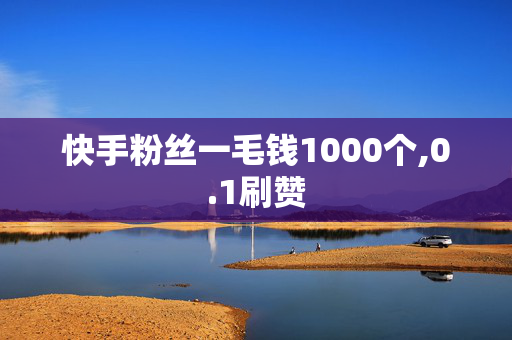 快手粉丝一毛钱1000个,0.1刷赞