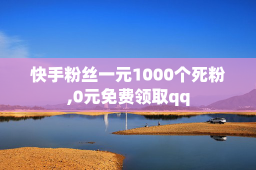 快手粉丝一元1000个死粉,0元免费领取qq