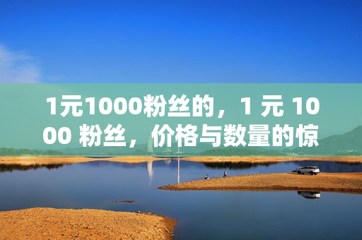 1元1000粉丝的，1 元 1000 粉丝，价格与数量的惊人组合