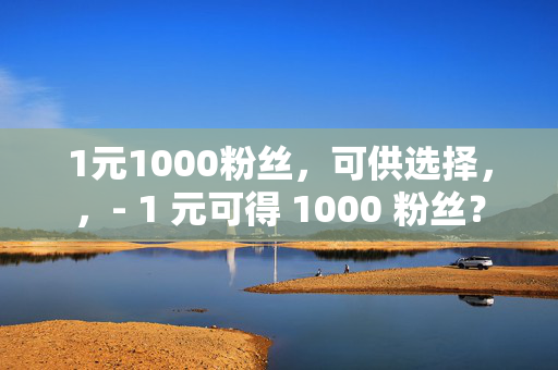 1元1000粉丝，可供选择，，- 1 元可得 1000 粉丝？