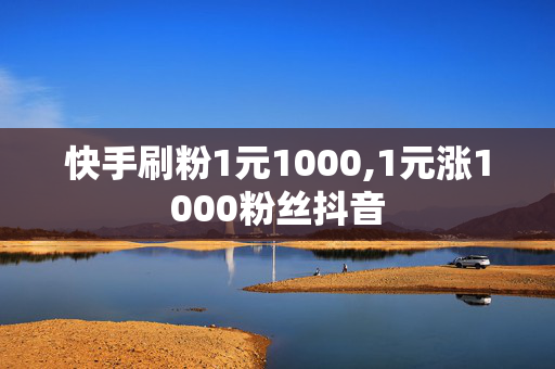 快手刷粉1元1000,1元涨1000粉丝抖音