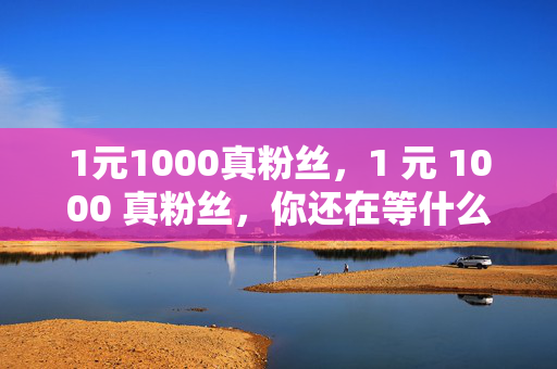 1元1000真粉丝，1 元 1000 真粉丝，你还在等什么？