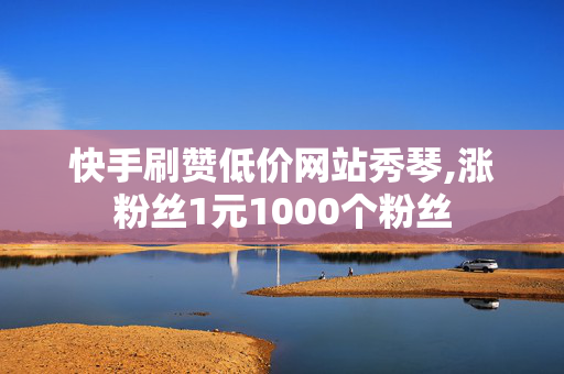 快手刷赞低价网站秀琴,涨粉丝1元1000个粉丝