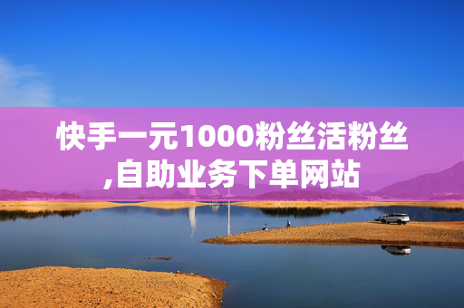 快手一元1000粉丝活粉丝,自助业务下单网站