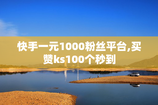 快手一元1000粉丝平台,买赞ks100个秒到