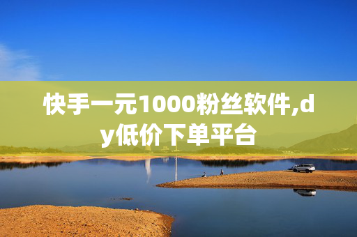 快手一元1000粉丝软件,dy低价下单平台