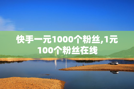 快手一元1000个粉丝,1元100个粉丝在线