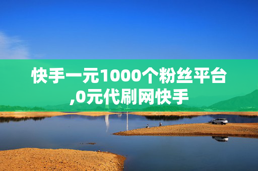 快手一元1000个粉丝平台,0元代刷网快手