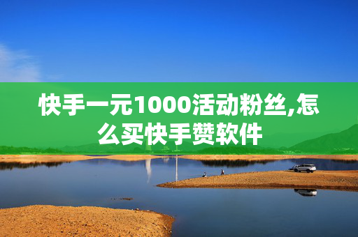 快手一元1000活动粉丝,怎么买快手赞软件