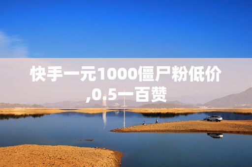 快手一元1000僵尸粉低价,0.5一百赞