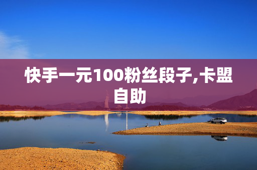 快手一元100粉丝段子,卡盟自助