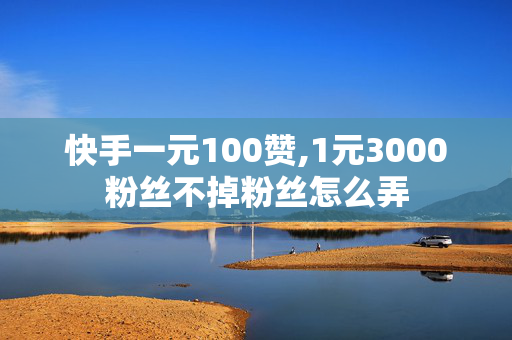 快手一元100赞,1元3000粉丝不掉粉丝怎么弄