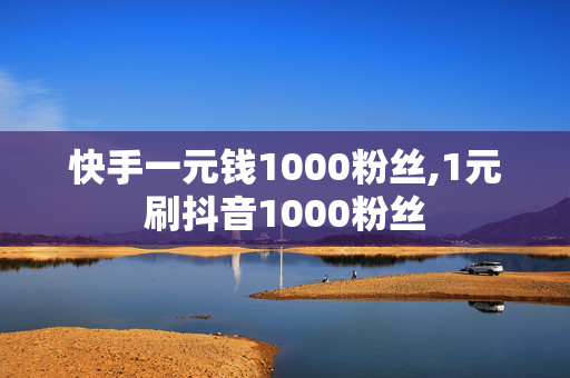 快手一元钱1000粉丝,1元刷抖音1000粉丝