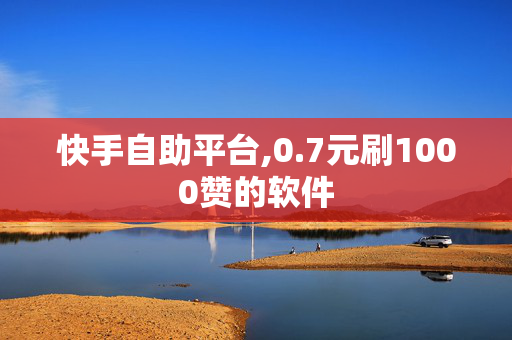 快手自助平台,0.7元刷1000赞的软件