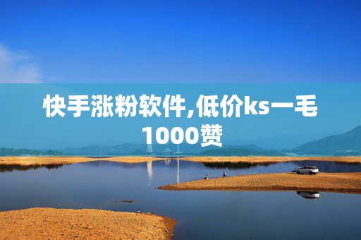 快手涨粉软件,低价ks一毛1000赞