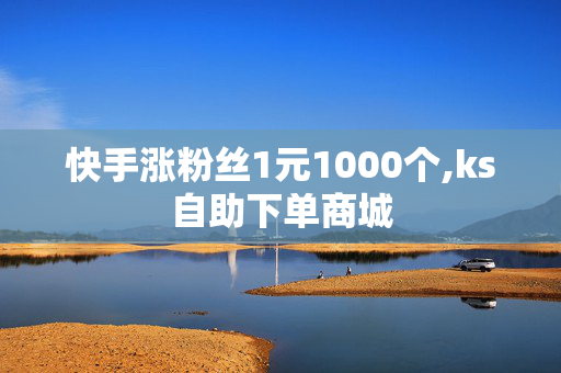 快手涨粉丝1元1000个,ks自助下单商城