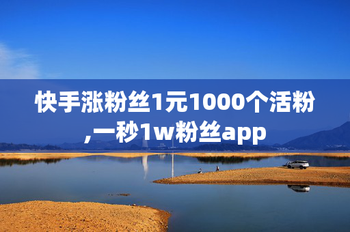 快手涨粉丝1元1000个活粉,一秒1w粉丝app