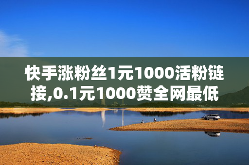 快手涨粉丝1元1000活粉链接,0.1元1000赞全网最低价快手