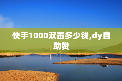 快手1000双击多少钱,dy自助赞