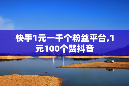 快手1元一千个粉丝平台,1元100个赞抖音