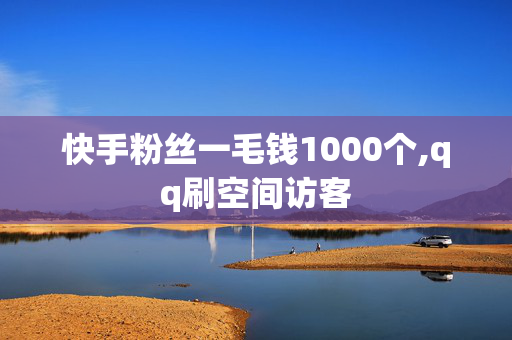 快手粉丝一毛钱1000个,qq刷空间访客