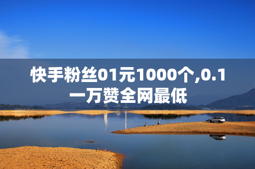 快手粉丝01元1000个,0.1一万赞全网最低