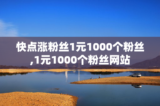 快点涨粉丝1元1000个粉丝,1元1000个粉丝网站