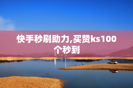 快手秒刷助力,买赞ks100个秒到