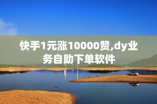 快手1元涨10000赞,dy业务自助下单软件