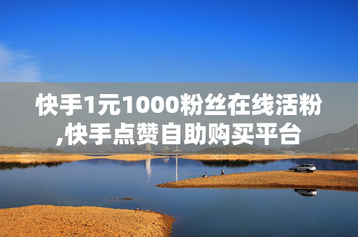 快手1元1000粉丝在线活粉,快手点赞自助购买平台