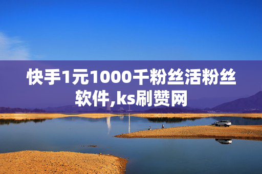 快手1元1000千粉丝活粉丝软件,ks刷赞网