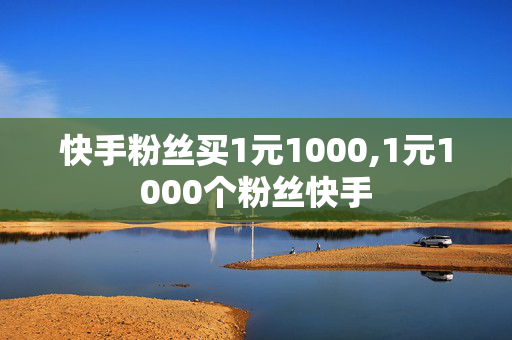 快手粉丝买1元1000,1元1000个粉丝快手