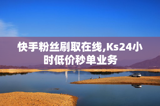 快手粉丝刷取在线,Ks24小时低价秒单业务