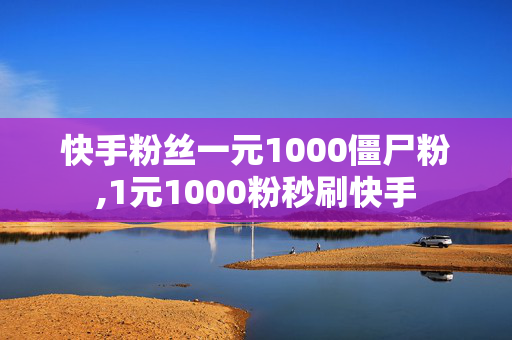 快手粉丝一元1000僵尸粉,1元1000粉秒刷快手