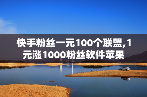 快手粉丝一元100个联盟,1元涨1000粉丝软件苹果