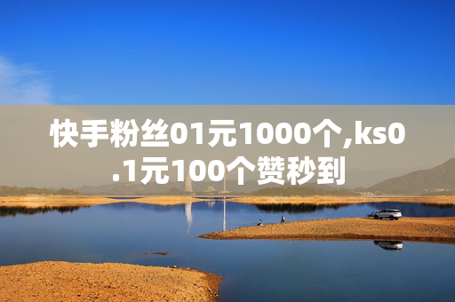 快手粉丝01元1000个,ks0.1元100个赞秒到