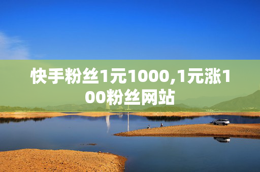 快手粉丝1元1000,1元涨100粉丝网站