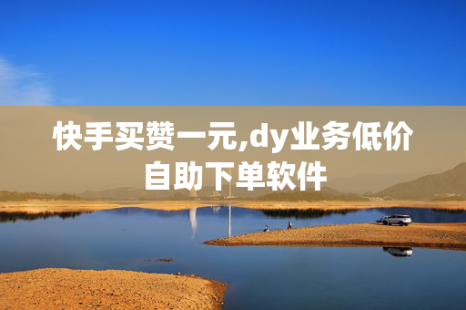 快手买赞一元,dy业务低价自助下单软件