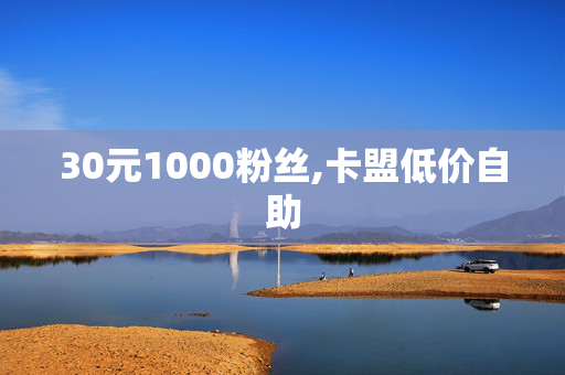 30元1000粉丝,卡盟低价自助