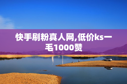 快手刷粉真人网,低价ks一毛1000赞