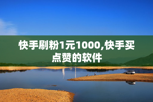 快手刷粉1元1000,快手买点赞的软件