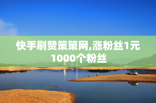 快手刷赞策策网,涨粉丝1元1000个粉丝